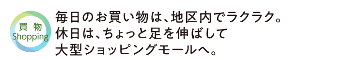 街の紹介(買い物)1